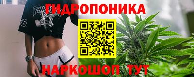 гашик Ливны