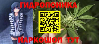 спиды Лесосибирск