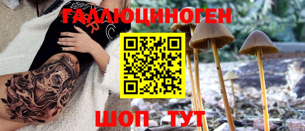Галлюциногенные грибы Psilocybe  Галлюциногенные грибы мицелий  Вход с VPN  Владимир 